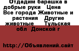 Отдадим барашка в добрые руки › Цена ­ 1 - Все города Животные и растения » Другие животные   . Тульская обл.,Донской г.